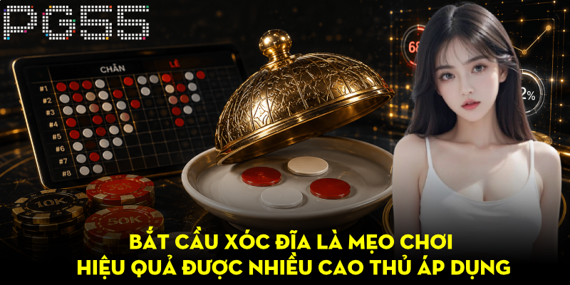 Bắt Cầu Xóc Đĩa Hiệu Quả – Kinh Nghiệm Từ Cao Thủ PG55 3 Bắt cầu xóc đĩa là mẹo chơi hiệu quả được nhiều cao thủ áp dụng